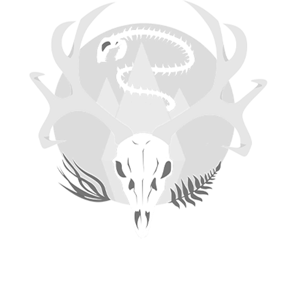 HF